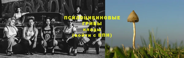 MDMA Верхний Тагил