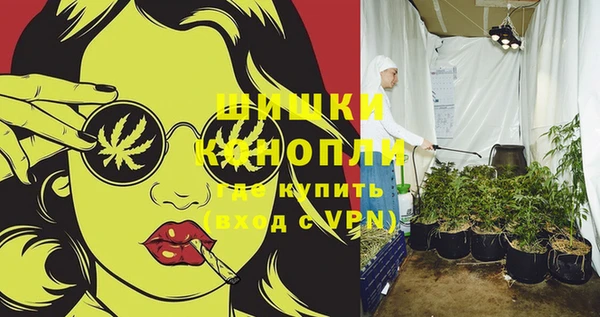сатива Бугульма