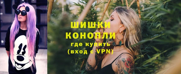 сатива Бугульма